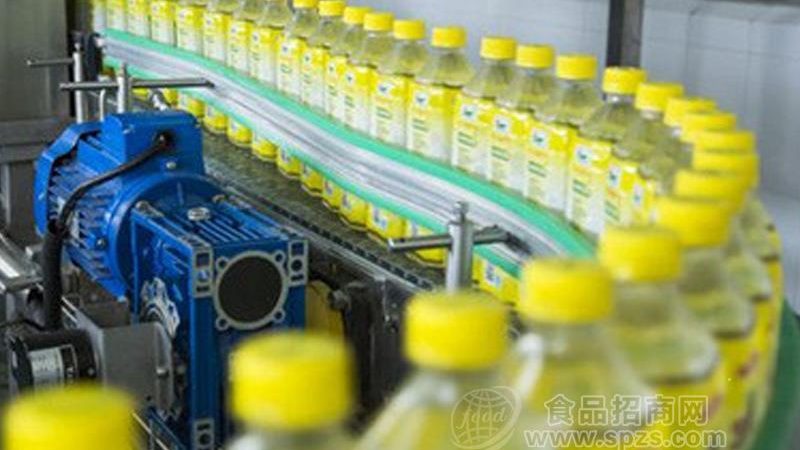 油炸机定制安装费用：揭秘定制背后的关键因素